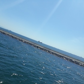 Zenan_447