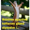 yengeç1