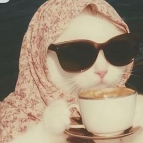 coff_echo