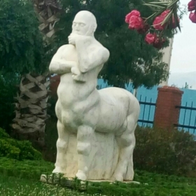 CocoCoco35