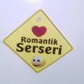 RomantikSerseri35