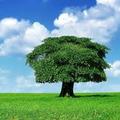 ofmsg10