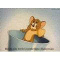 talihsizmerve