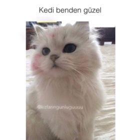 Gökyüzüm06