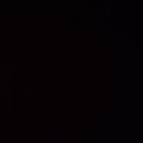 TuruncuPatlıcan