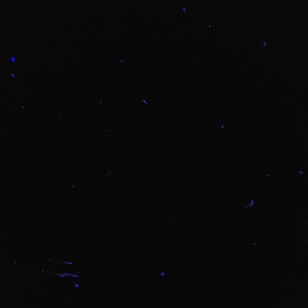 Mrt0209